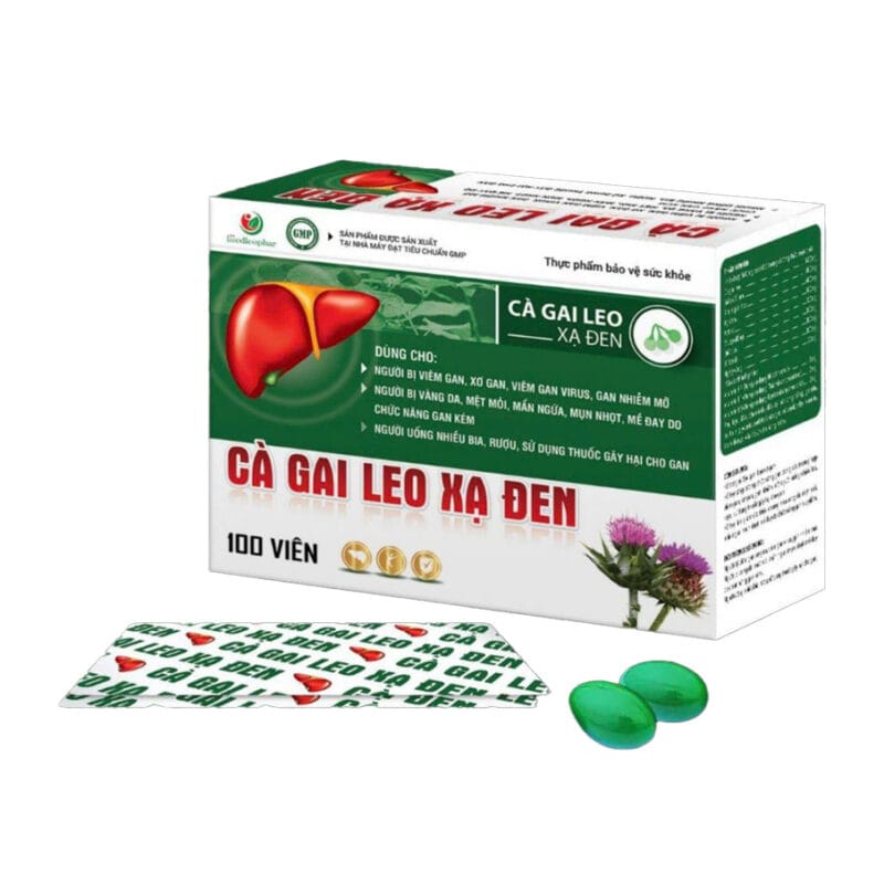 Cà gai leo xạ đen